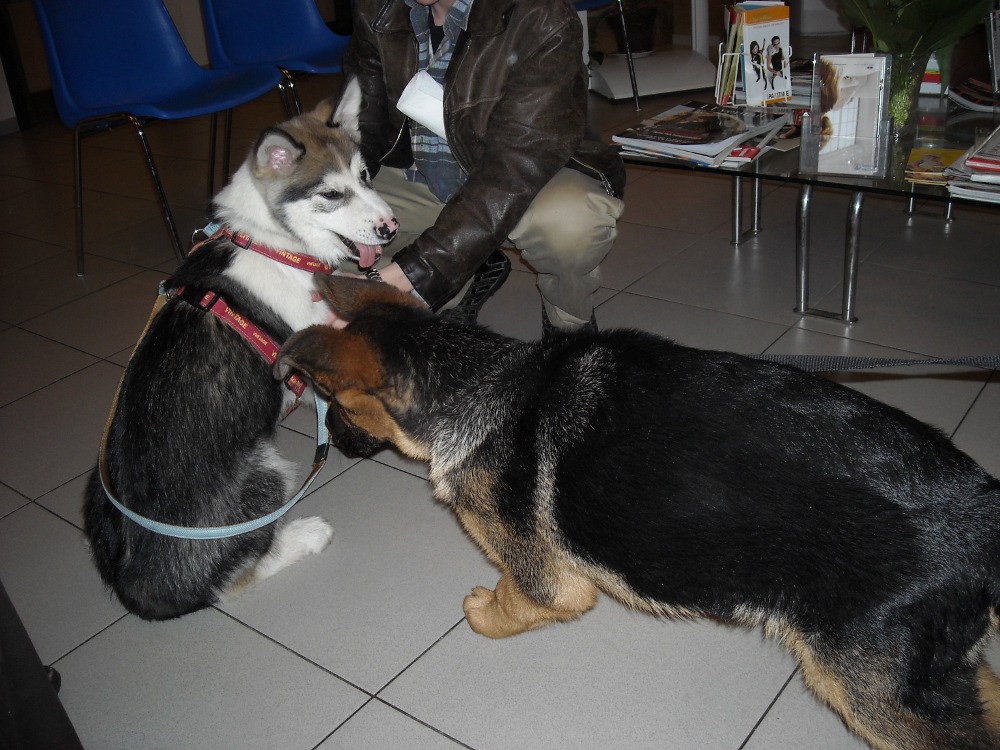 [06-welleducated.JPG]