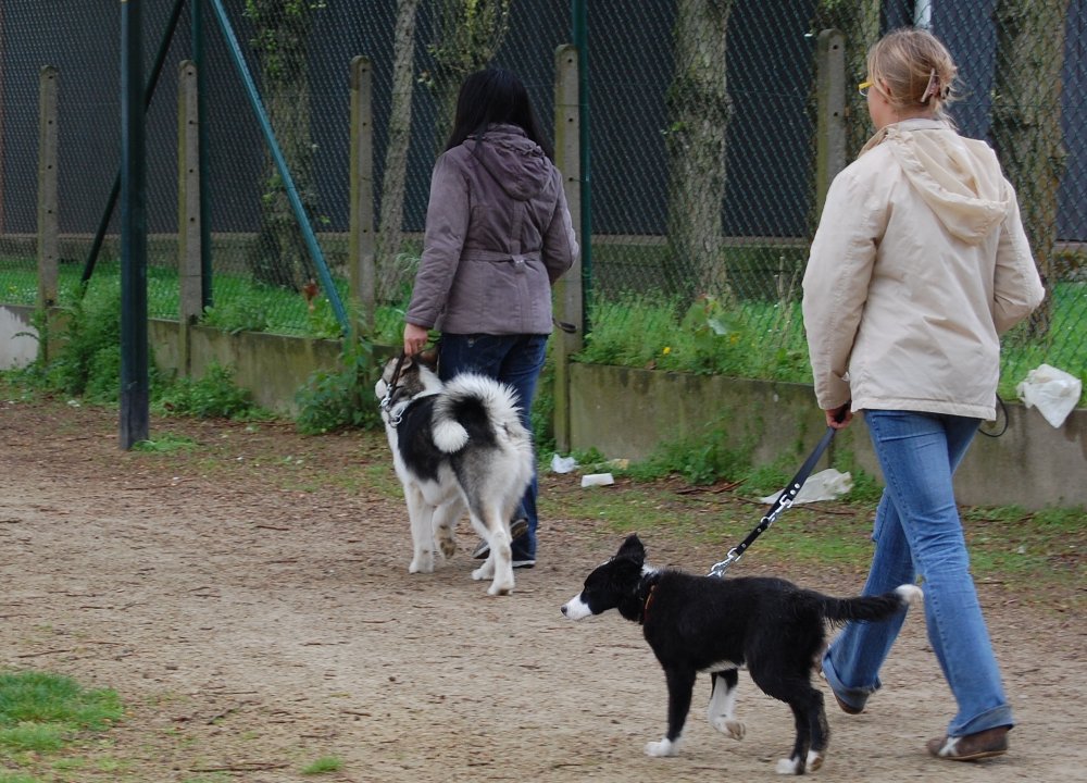 [training-1-walk-again.jpg]