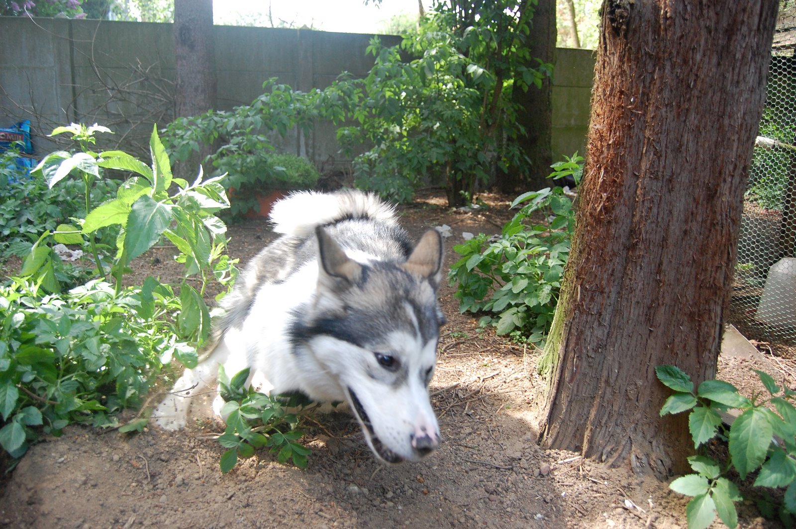 [Denver+Moto+GP.JPG]