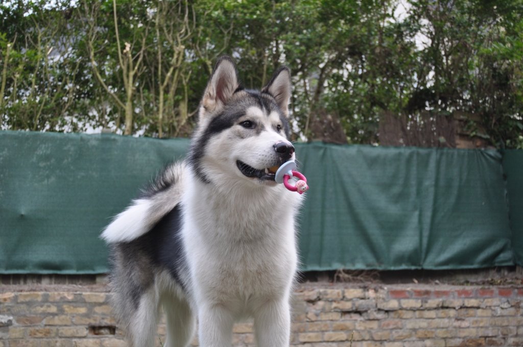 [08-pacifier-too.JPG]