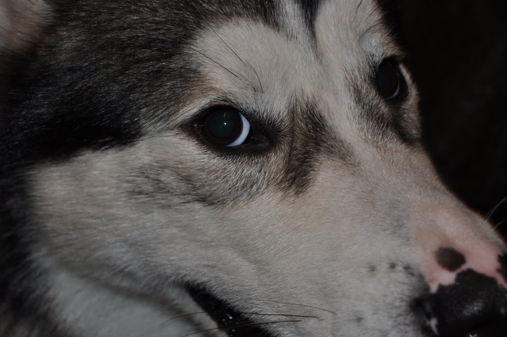 [eye-of-the-denver.JPG]