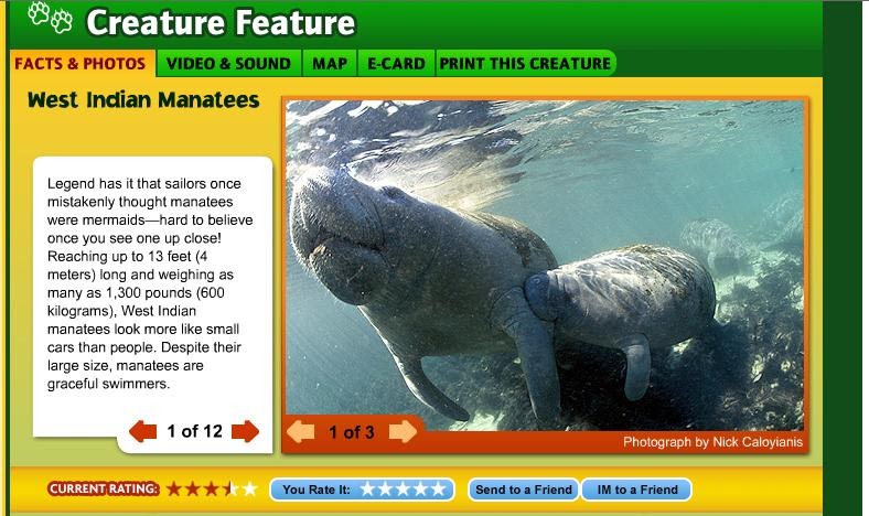 Kids Space: Manatees- National Geographic Creature Feature