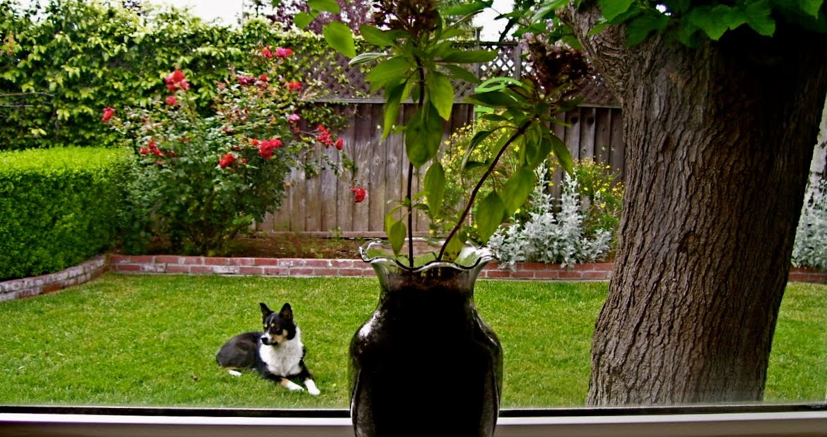 organized by cathy Reusing Leftover Flower Vases