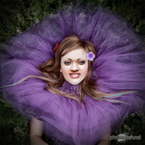 Funny Photos Effects vivecsharing