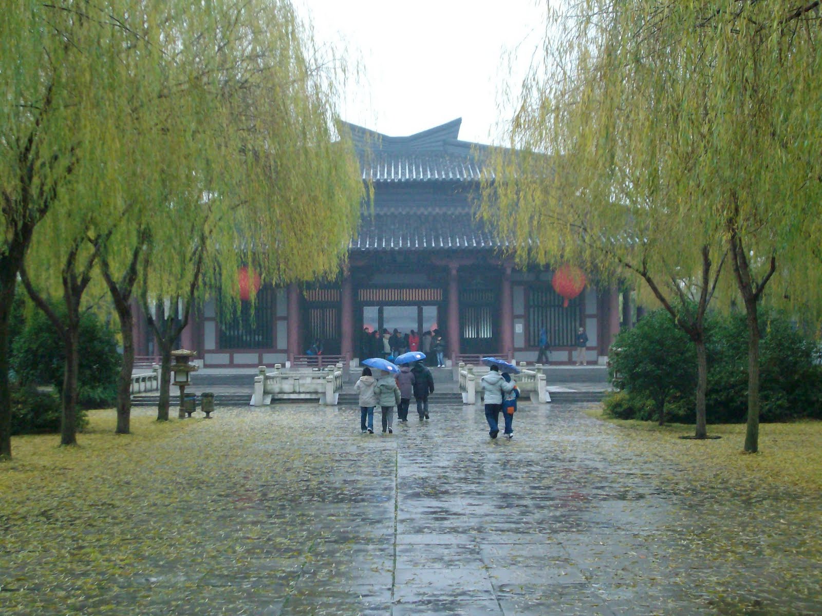 [ALIM3092.JPG]