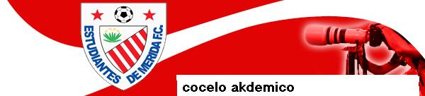 cocelo akdemico