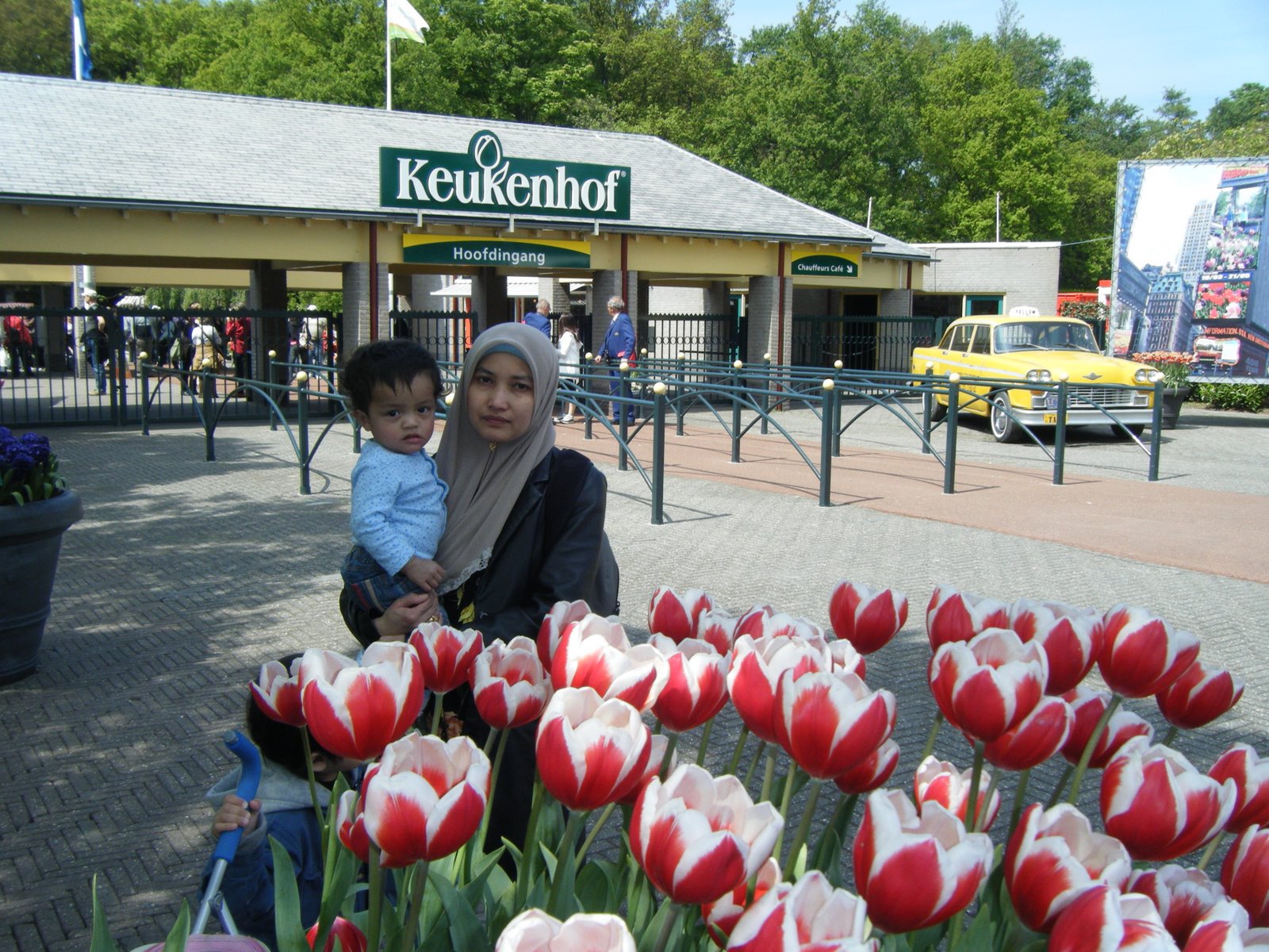 [DSCF8021.JPG]