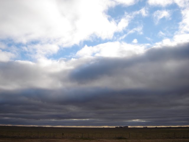 [DSC06384.JPG]