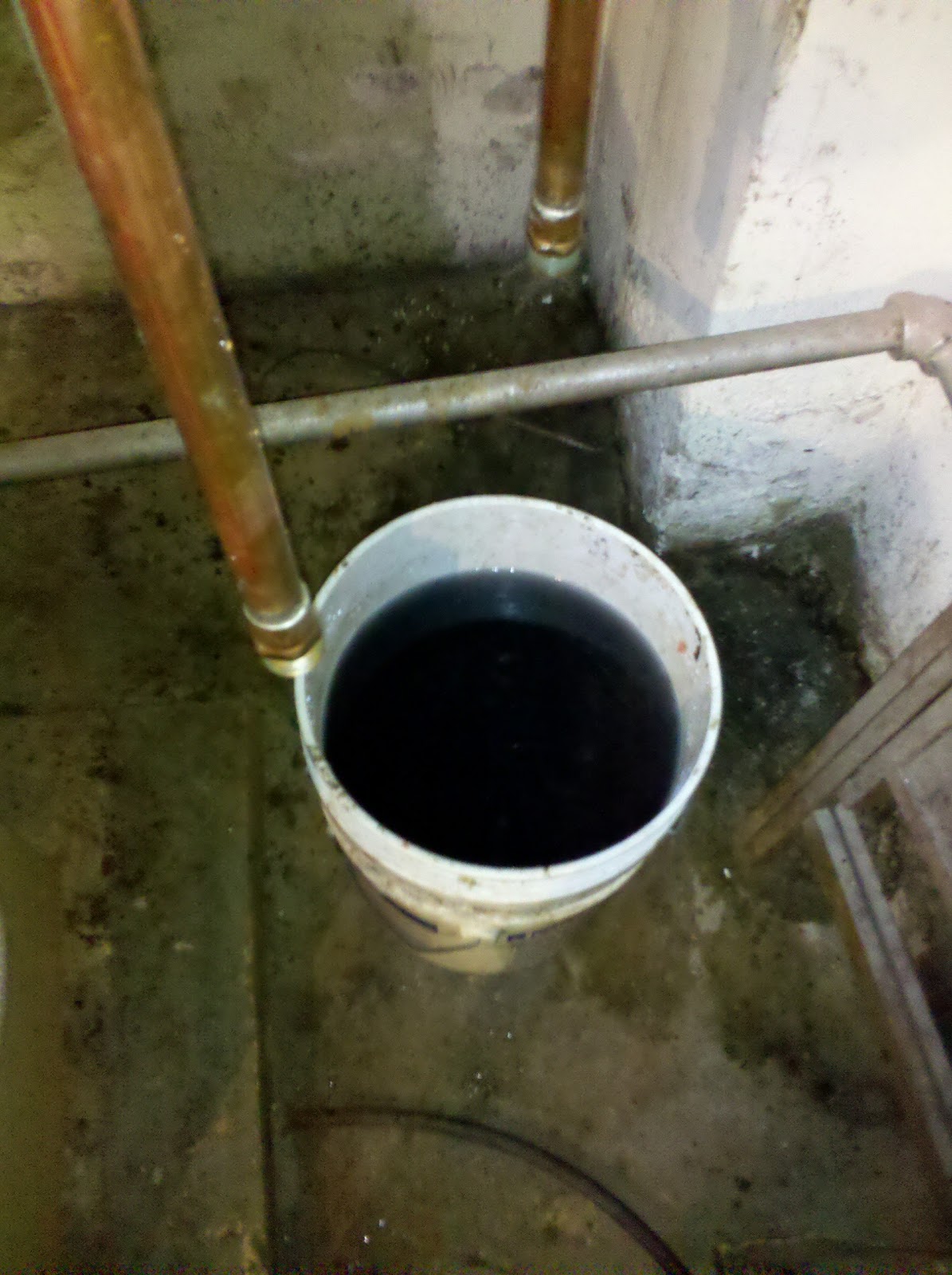 Flowed shit through the pipes Flowed shit through the pipes