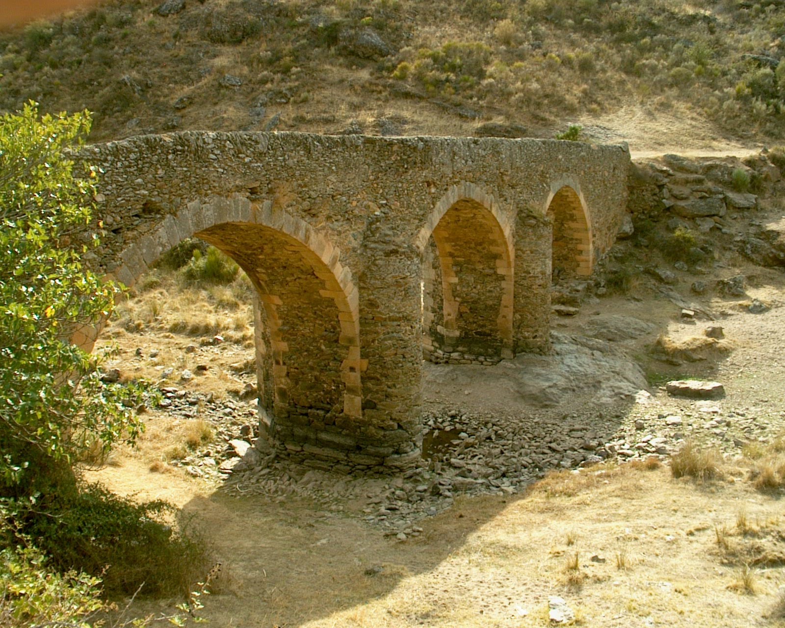[IM006905.JPG]