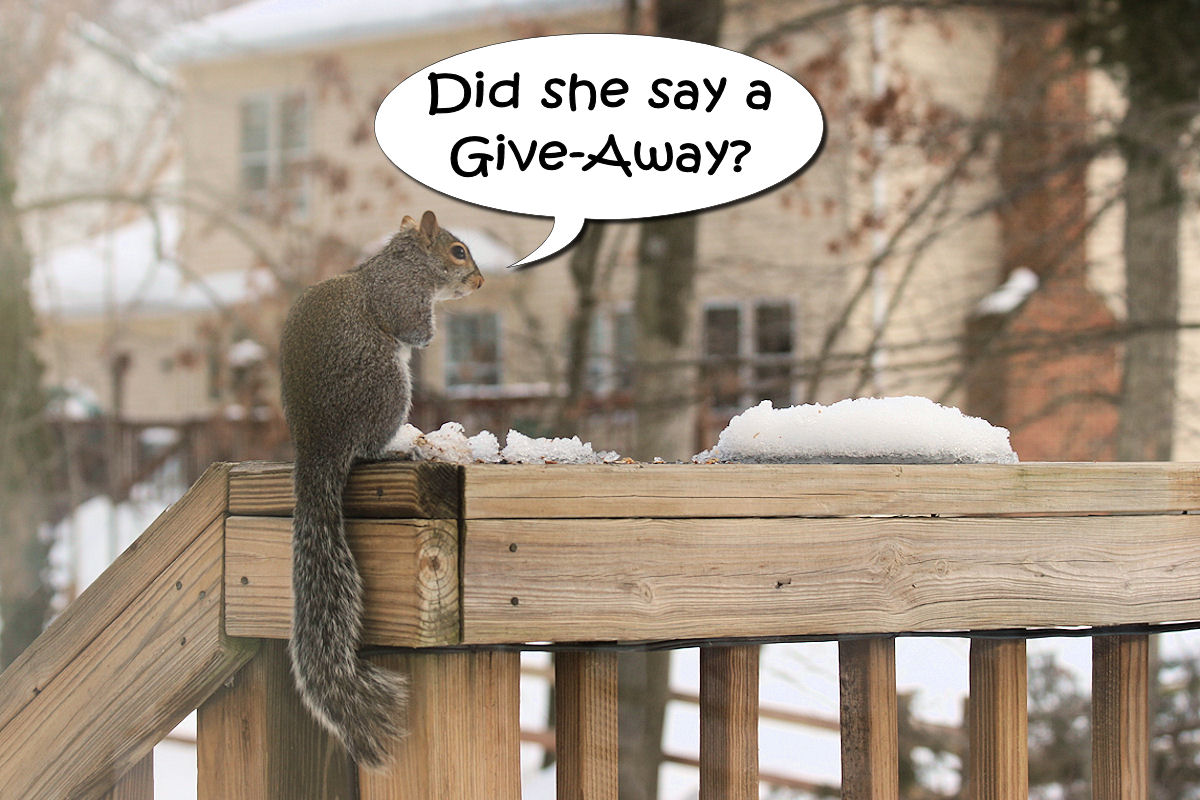 [Give-Away+Squirrel.jpg]