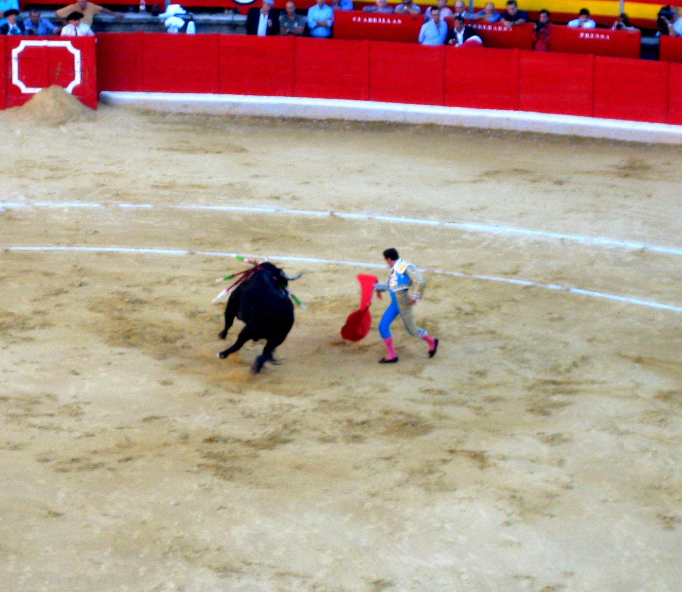 Animals That Start With V.