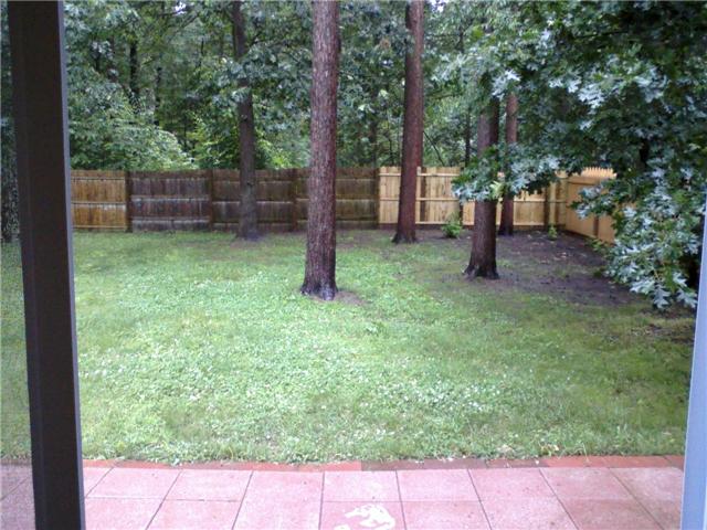 [backyard.jpeg]