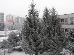 Zimná krajina - kúzla prírody-pohľad z okna