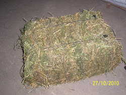 Fardos de ALFALFA $20