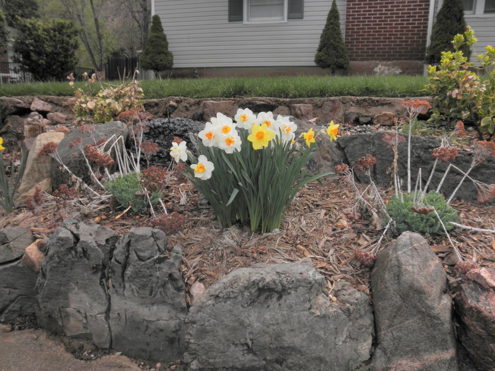 Maceys Flower Fun Spring in Ogden Utah!