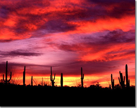 Desert Song