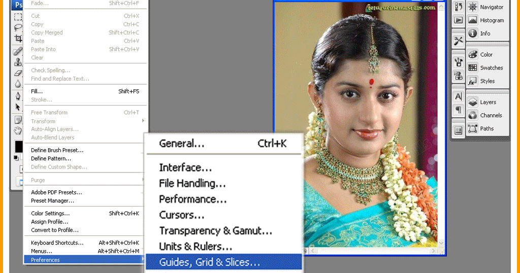 Basics Adobe Ruler Guides and Grids