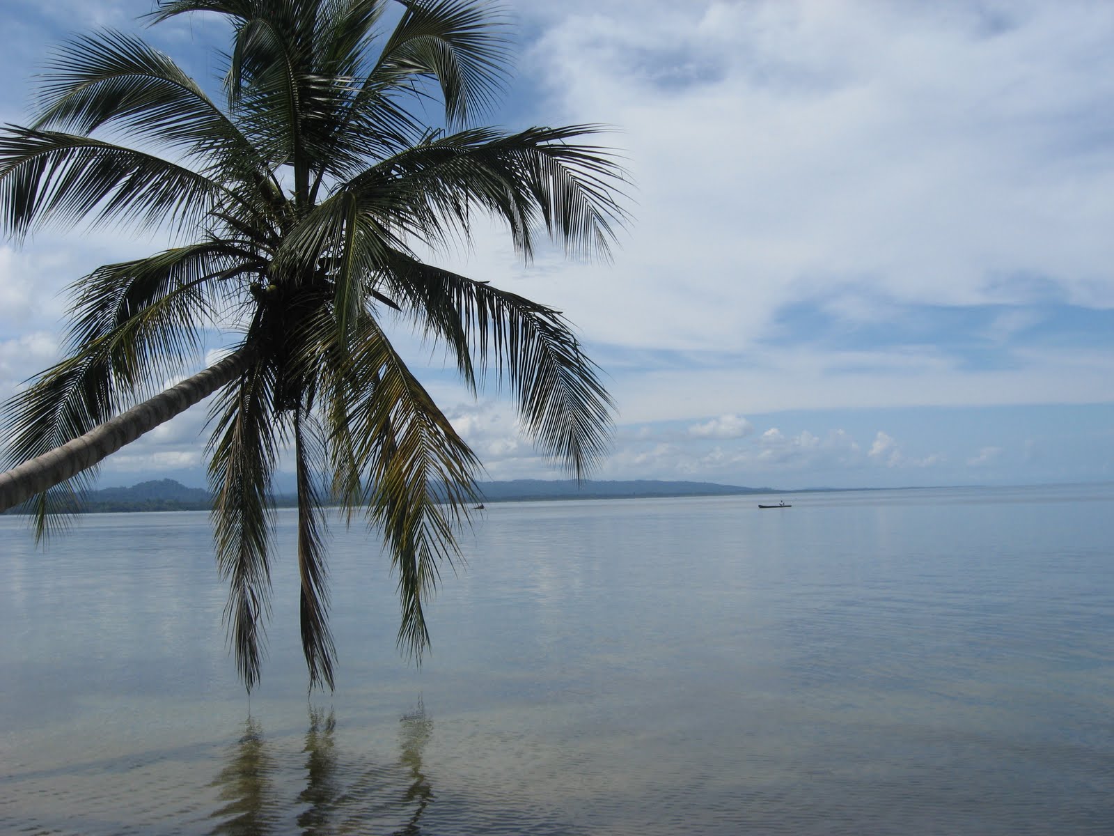 [IMG_0260.JPG]