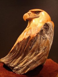 [eagle.jpg]