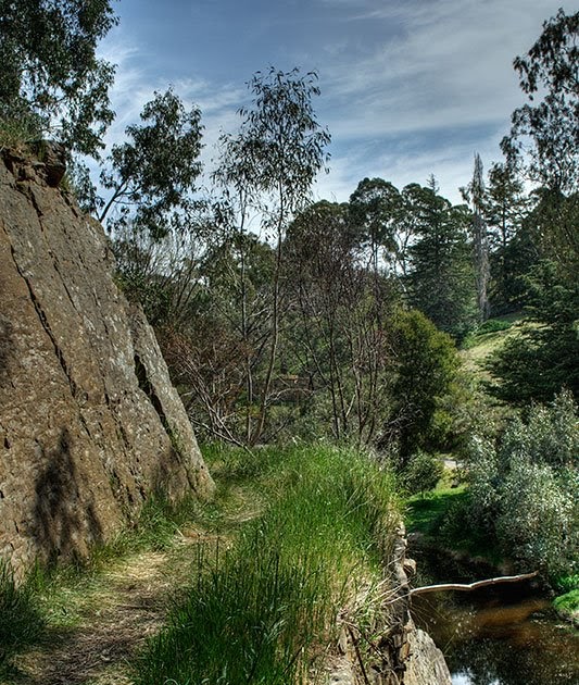 Picnic Day at Vaughan Springs Goldfields Image Makers
