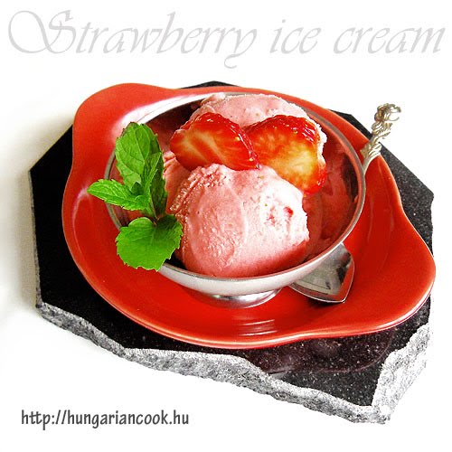 Hungarian Cook Yoghurt strawberry ice cream