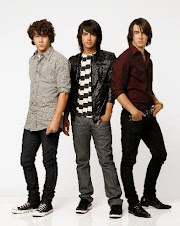 THE JONAS BROTHERS