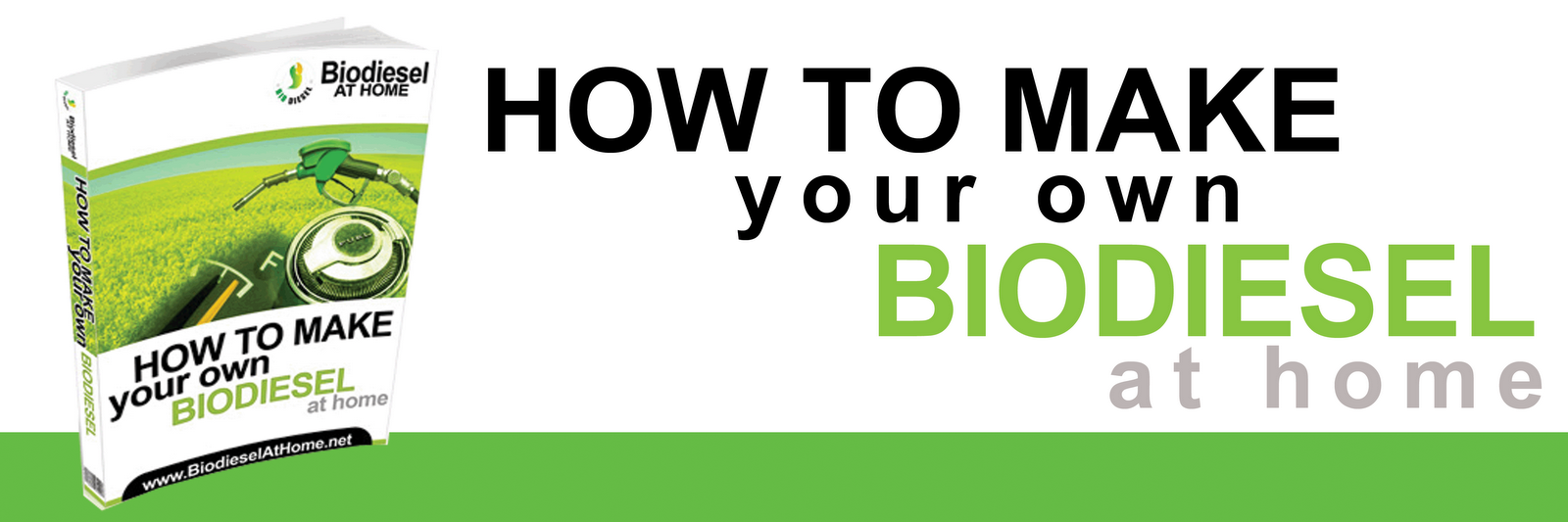 How to make your own biodiesel