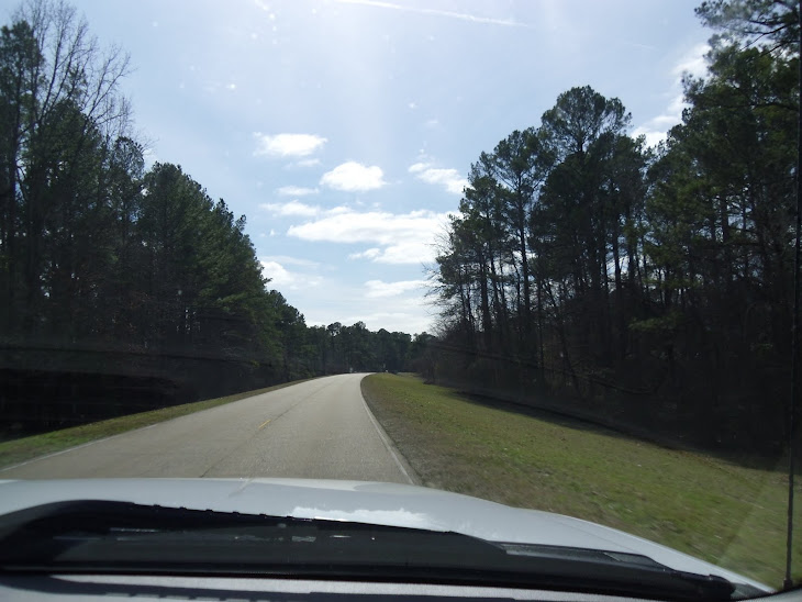 Mississippi's Natchez Trace Parkway