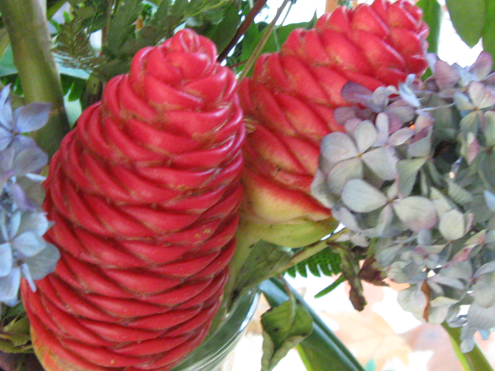 nancarts Pine Cone Lily