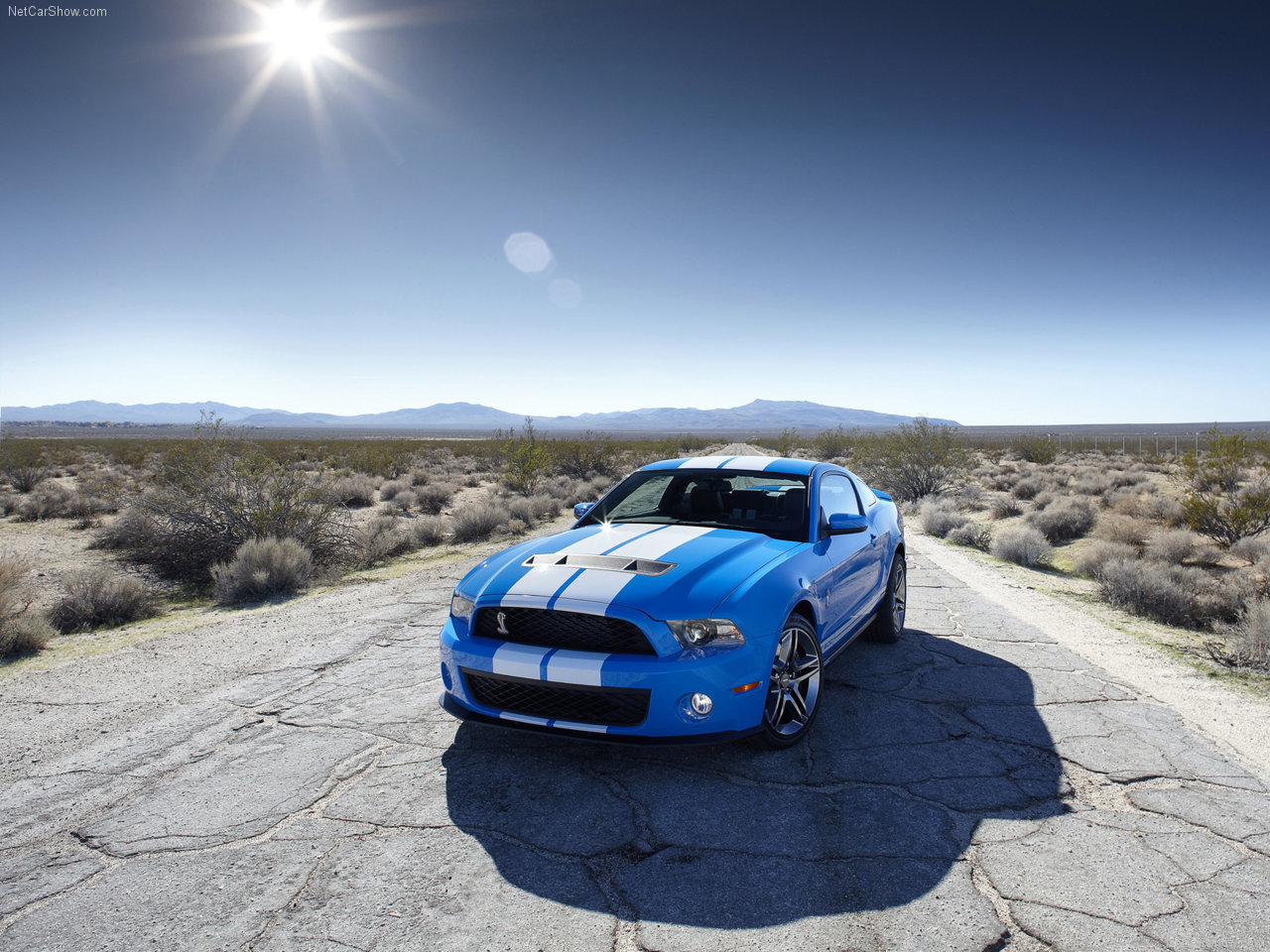 Ford Mustang Shelby GT500 2010