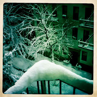 Winter Wonderland in NYC 2011