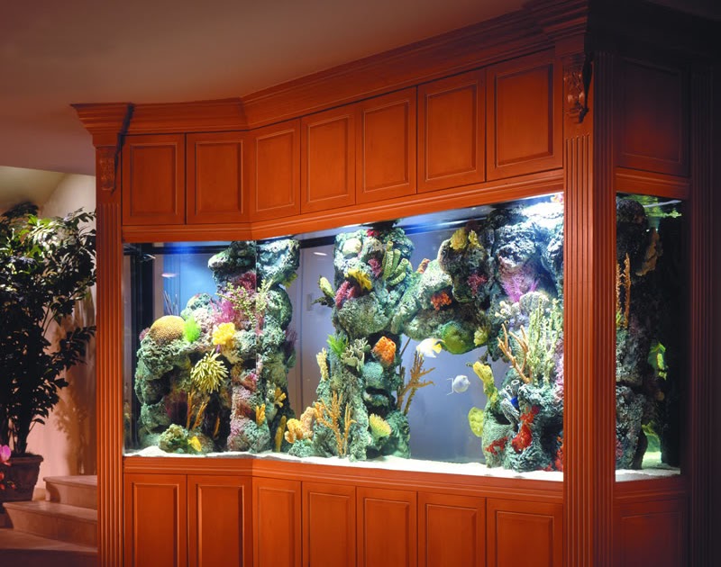 ديكور جديد ورائع من احواض السمك روعه