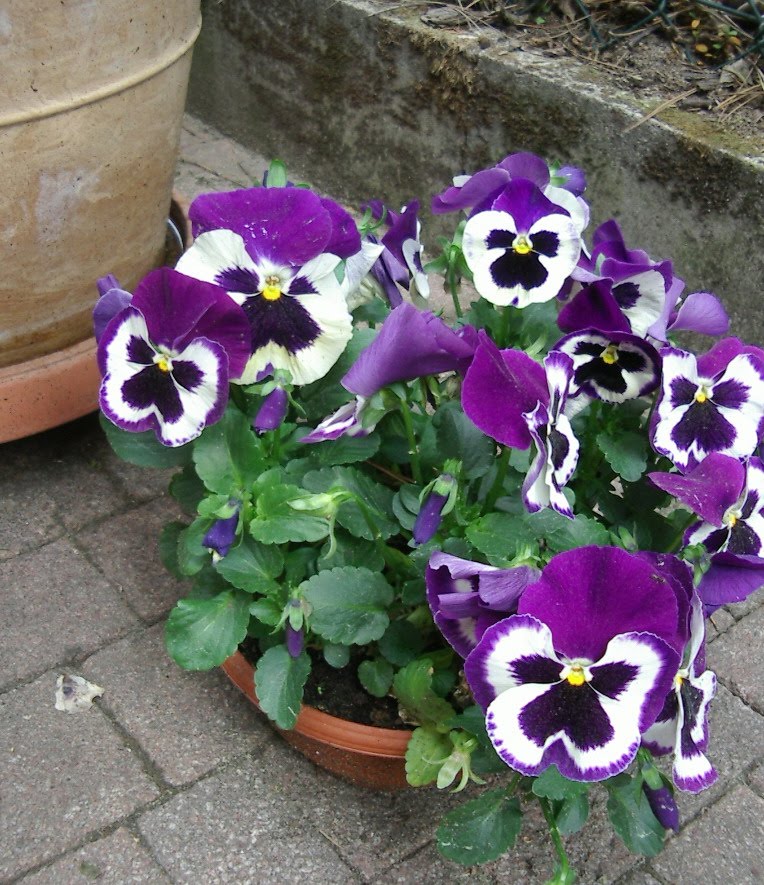 Concertsurfing November 2015