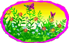 Puno S Minis 1 12 Mai 2010