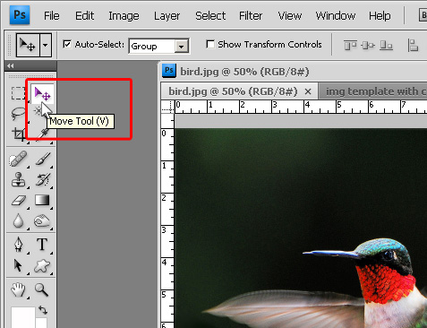 photoshop portable cs4 migrate presets photoshop portable cs4 migrate presets