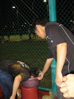 Gambar+kepala+air
