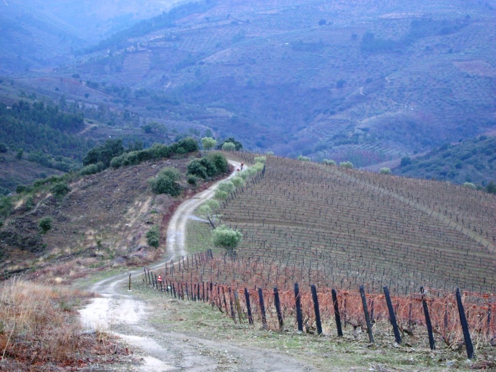 [btt+horta+(12).JPG]