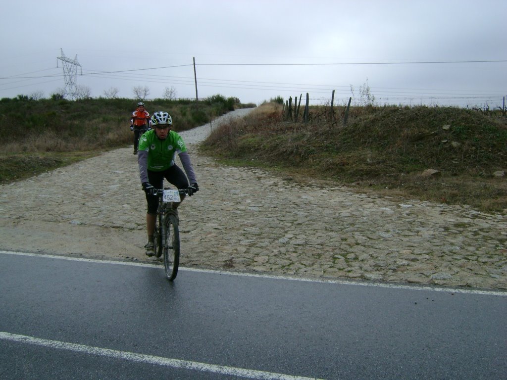 [btt+horta+(25).JPG]