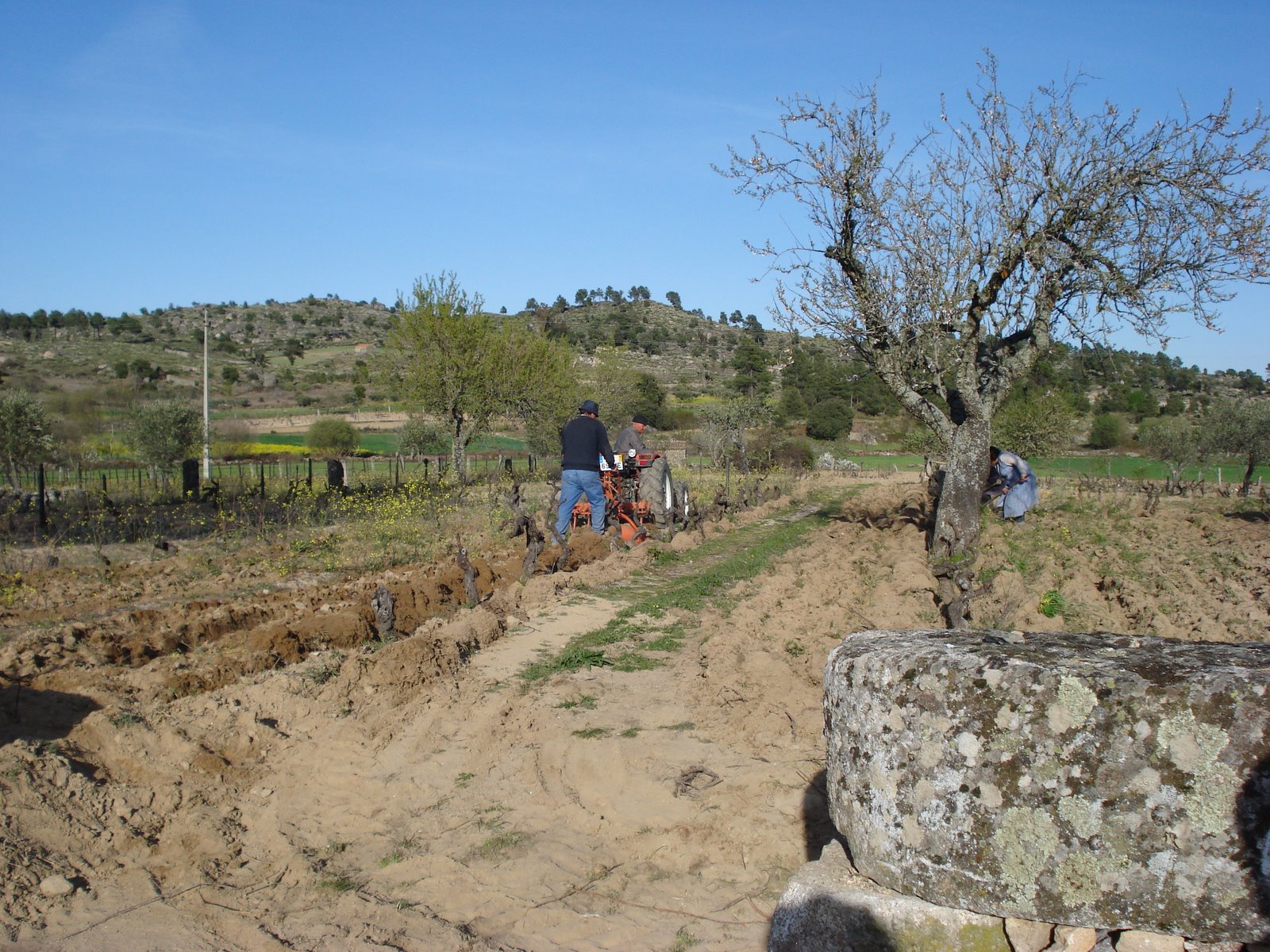 [DSC00572.JPG]
