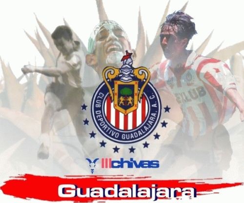 FREE CHIVAS WALLPAPER