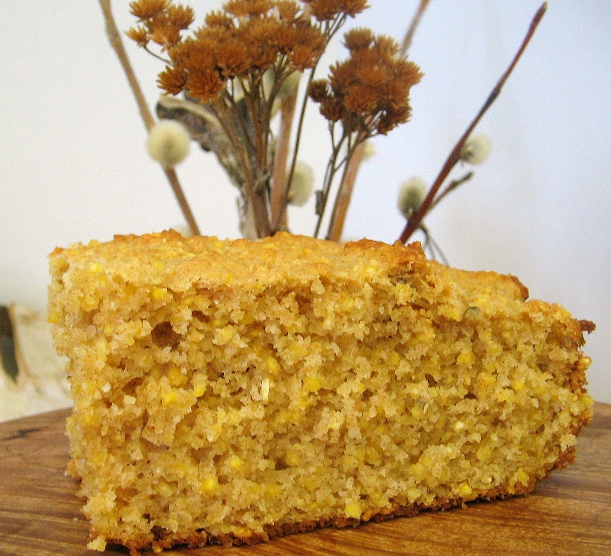 Arctic Garden Studio Corn Bread