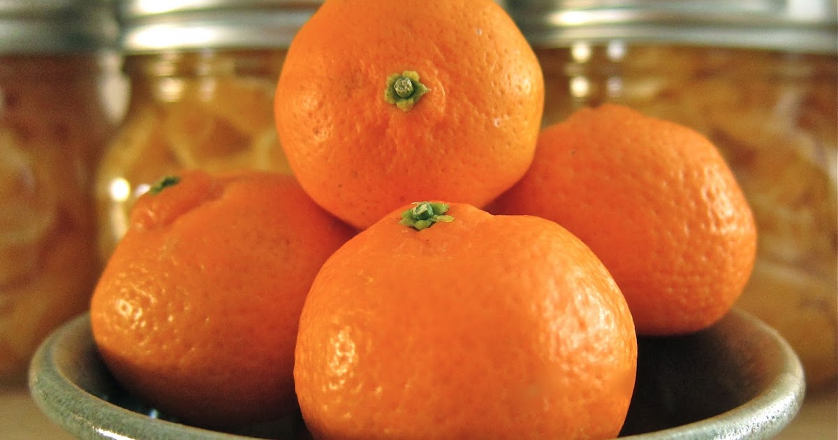 Arctic Garden Studio How to Can Mandarin Oranges