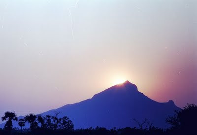 [Bild: Arunachala-099-NG_T.jpg]
