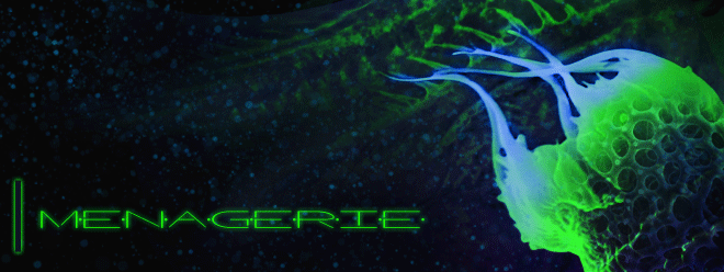 Imenagerie