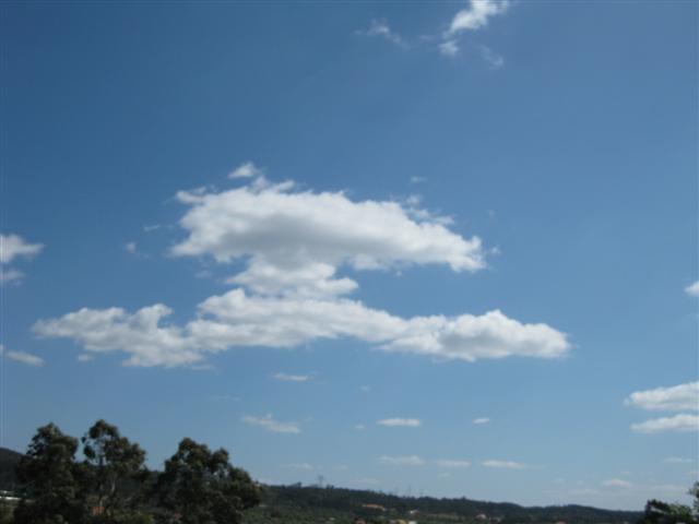 [Imagem+365+(Small).jpg]