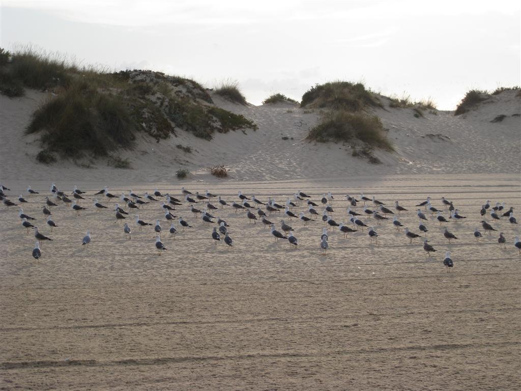 [1-iamgem+41+(Large).jpg]