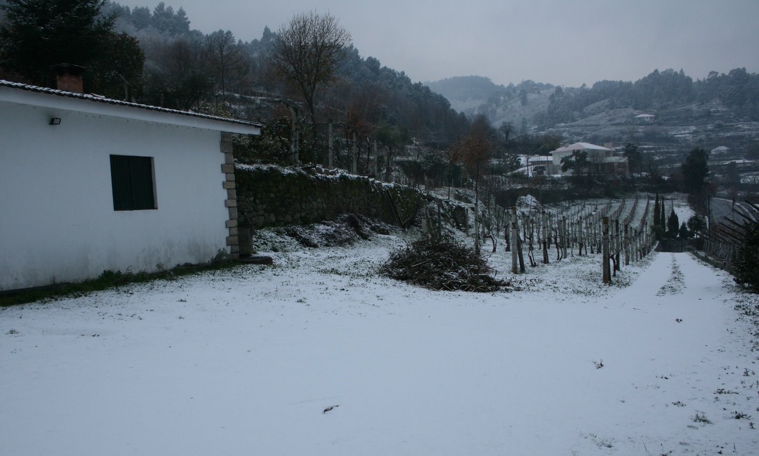 [Candoz_Meco_IMG_4602.JPG]