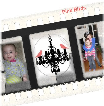 PinkBirds