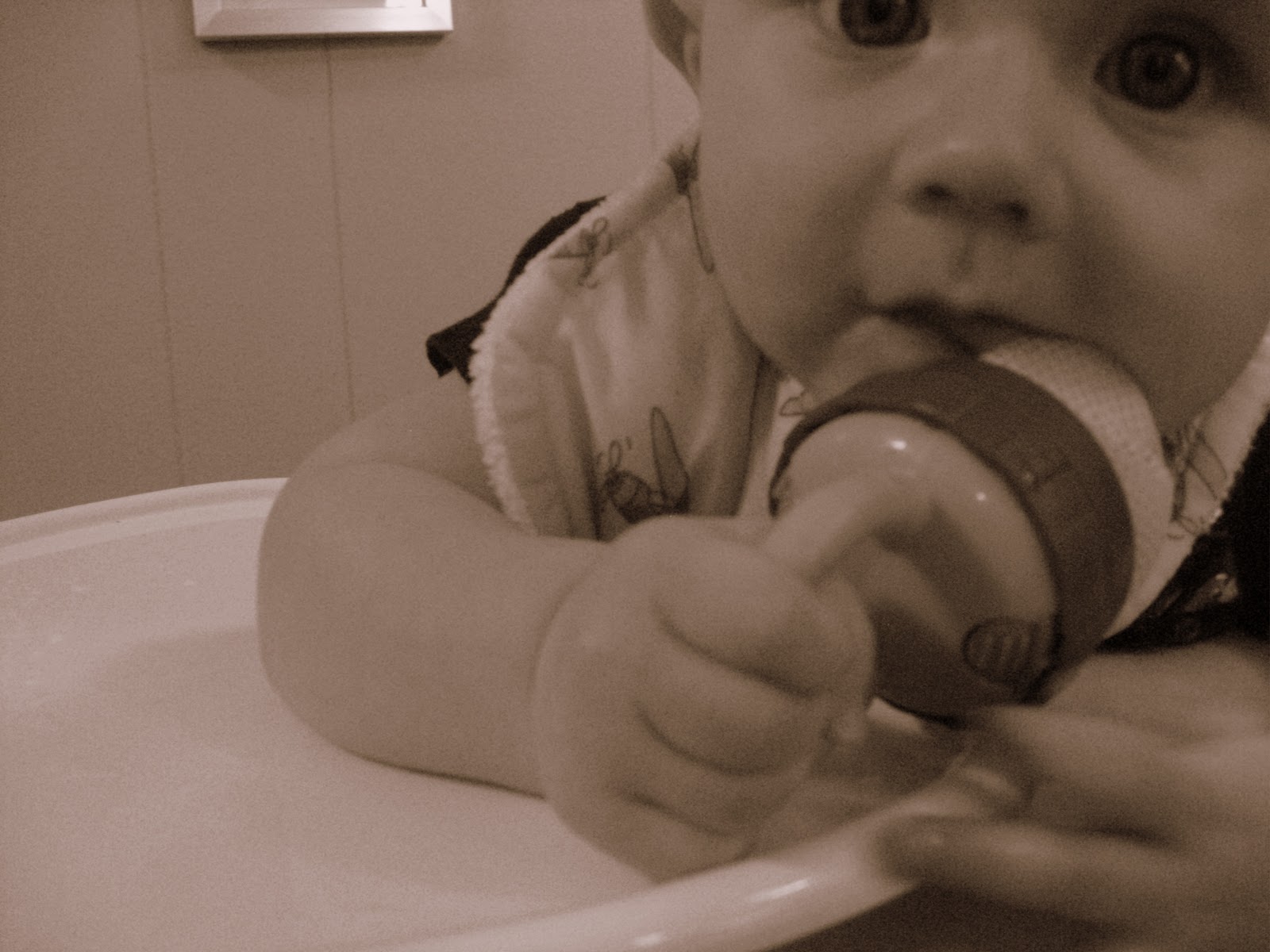 baby mesh feeder target